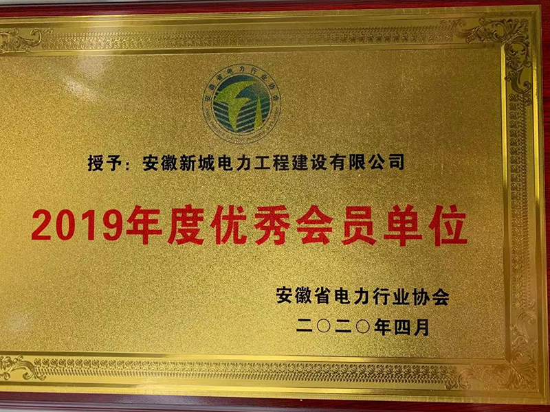 2019年度安徽省电力行业协会优秀会员单位