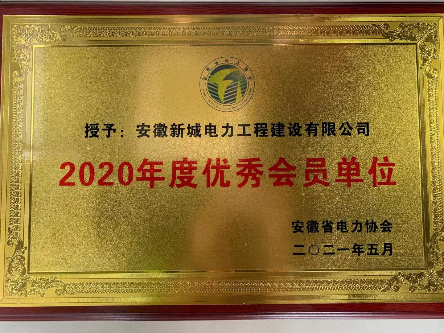 2020年度安徽省电力行业协会优秀会员单位